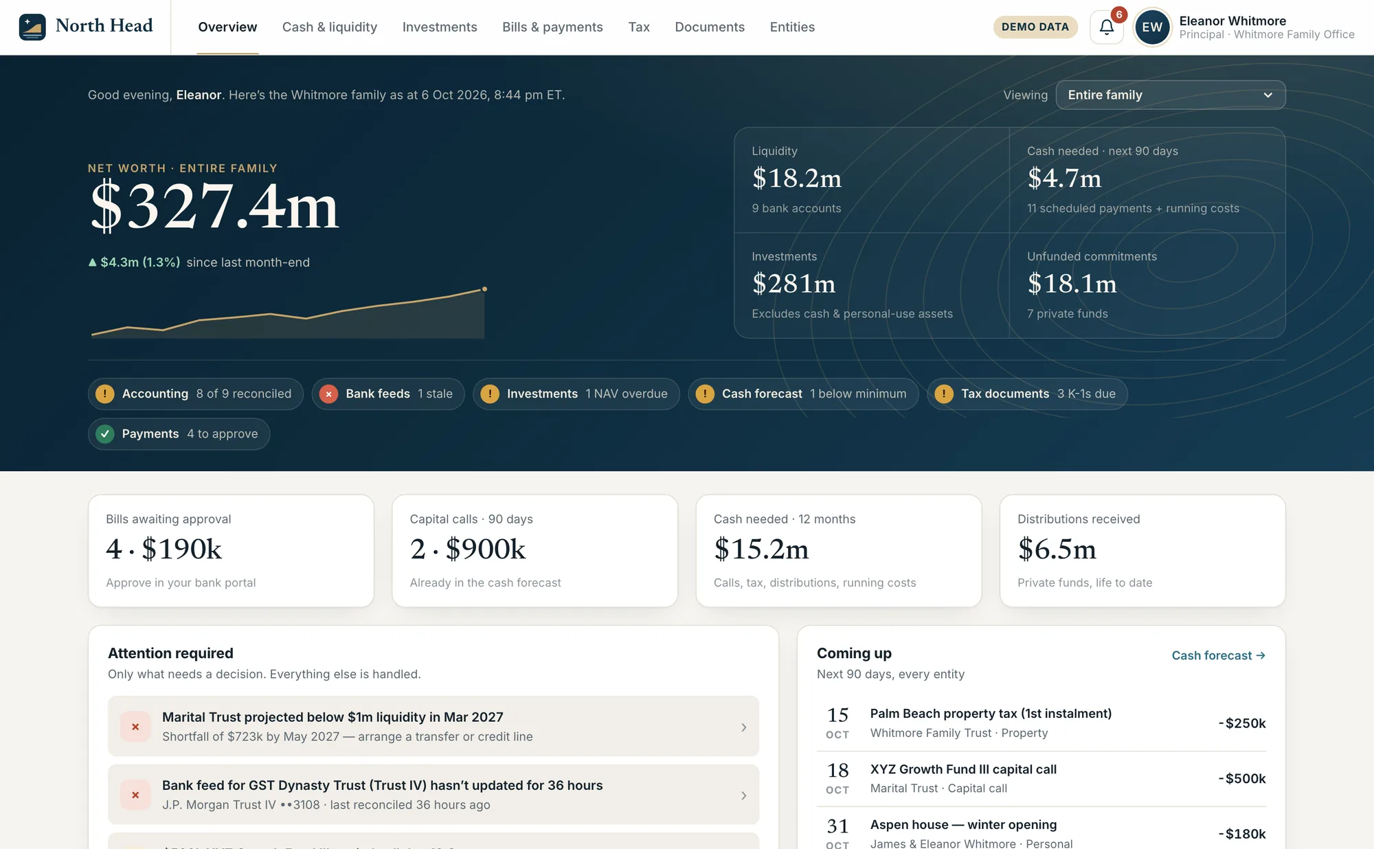 Overview: net worth, liquidity, cash needed, investments, unfunded commitments and attention items.